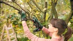 Bosch Advanced Cut 18V 2,5Ah Akülü Nanoblade Testere
